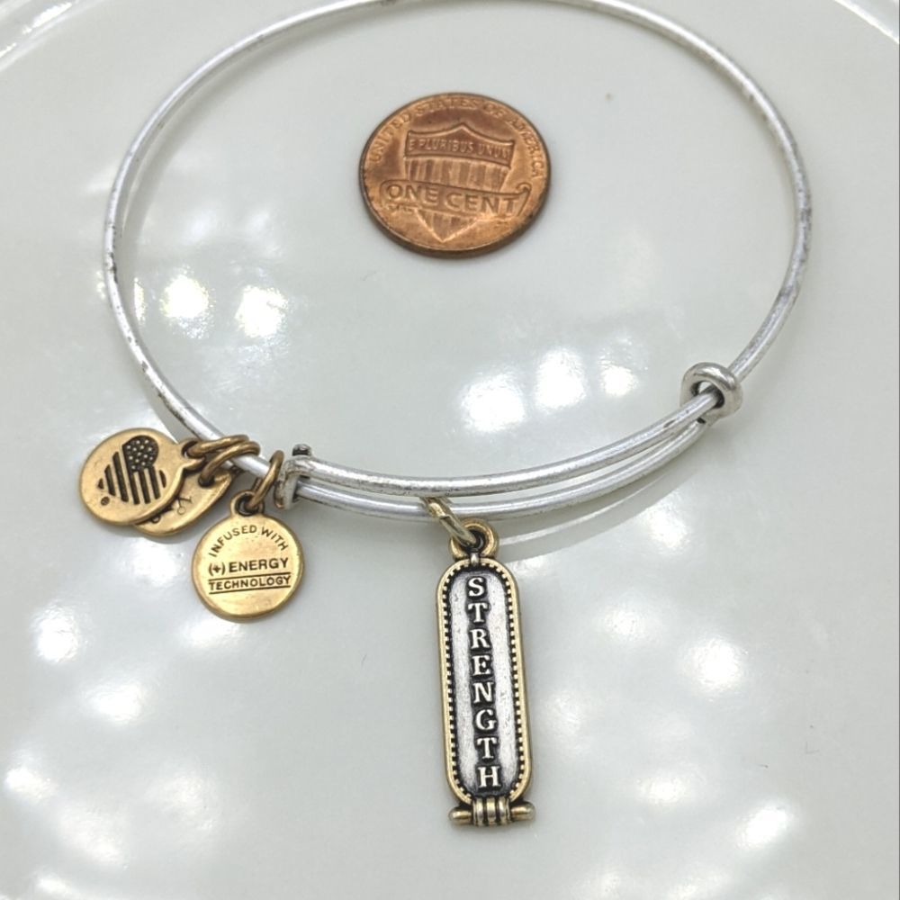 Alex and Ani Rafaleian Silver Strength Bracelet